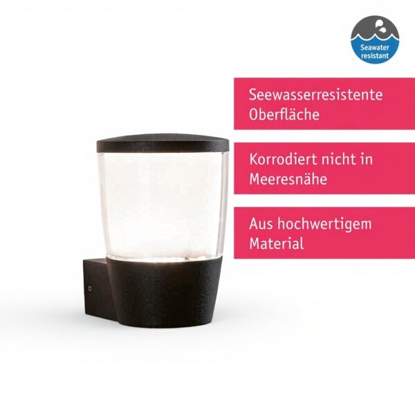 Lampada da parete esterni Paulmann Bako antracite resistente